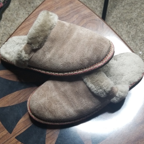 frye slippers